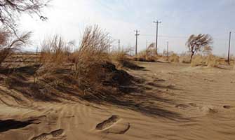 Photo of گر بِماندیم زنده، بردوزیم جامه‌ ای از فراق چاک‌ شده
