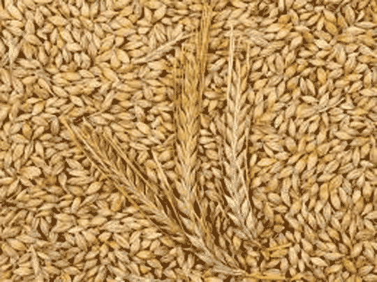 دلیل اصلی ابتلا به اوتیسم